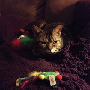 Meet your Posher, Kim